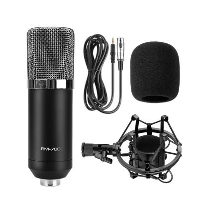 China Innovative Products Shock Mount Case Studio Shockproof Microphone Set Recording Condenser Microphone for sale