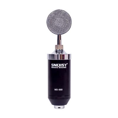 China USB Microphone Studio Microphone Condenser Recording Bm868 Voice Coil Microphone for sale