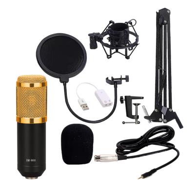 China Customizable Multifunctional Handheld Shock Mount Recording Studio Microphone for sale