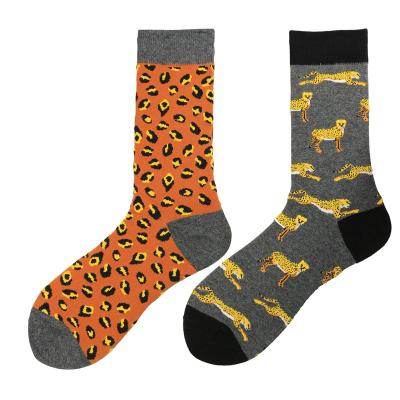 China Breathable colorful funny ab misfit socks for sale