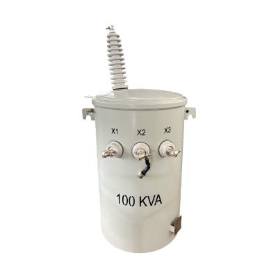 China 100KVA Single Phase Pole Mounted Distribution Transformer Dual Voltage Step Down 34.5KV To 120V for sale