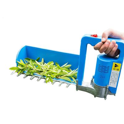 China 6500r/Min Protable Tea Picking Machine Battery Tea Plucking 300mm Blade 100W for sale