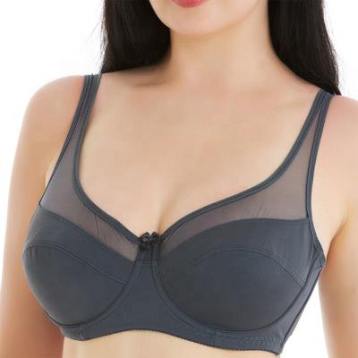 China Pump factory in china 50 bra size ladies plus size steel ring lift up women bra for sale