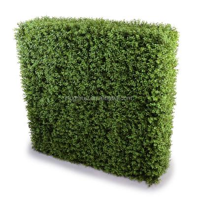 China Easily Assembled Artificial Boxwood Hedge from Bushes Panels for sale