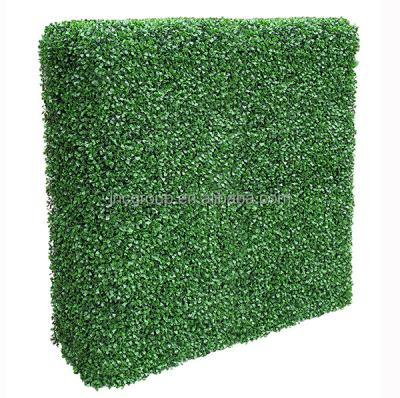 China Easily Assembled Artificial Buxus Leaf Shape Hedge for sale