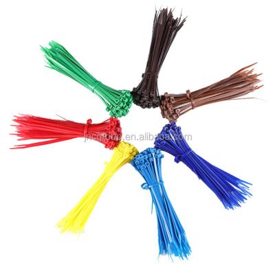 China Strong Waterproof High Quality Plastic Trunk Ties for sale