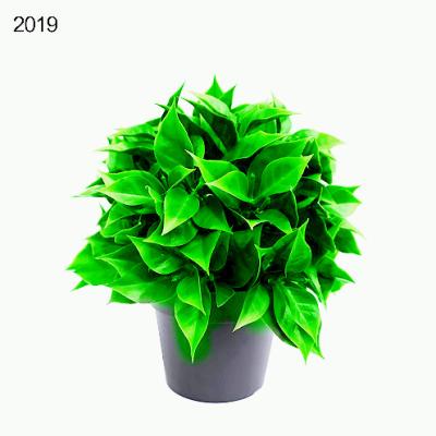 China Beautiful Colorful Mini Plant Indoor Potted Artificial Orchid In Pot for sale