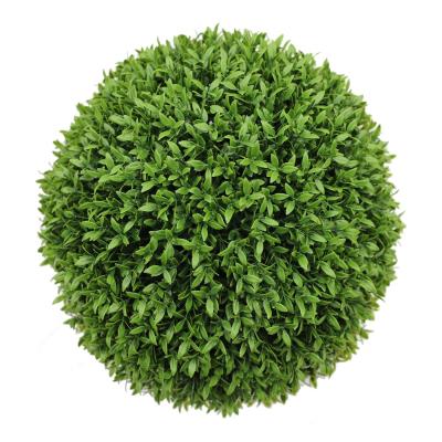 China Aptenia Plant Artificial Boxwood Hedge Anti Topiary Heavy Metal UV Free Easy Installation for sale