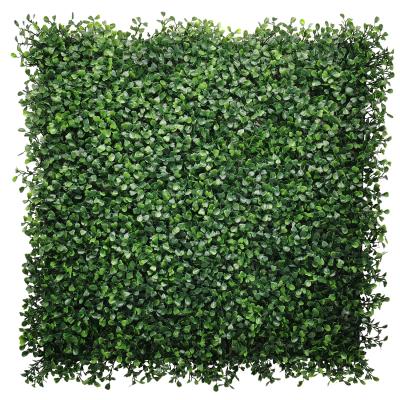 China Easy Installation Green Grass Plants Wall Boxwood Artificial Boxwood Hedge Mats Free Heavy Metal Free Anti-UV for sale