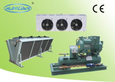 Cina Cold room storage room air cooled Bitzer condensing unit with air cooler in vendita