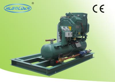 Cina Cold room storage room air cooled Bitzer condensing unit for food cooling in vendita