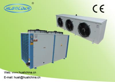 Cina 9~50kw Low Temperature Chiller With R404a For Cooling Meat Storage Room With High Efficient Compressor in vendita