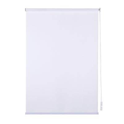 China Choice White Minimalist Amazon Roller Shade Top Selling Day And Night Electric Roller Shade Indoor Window Blinds For Sliding Glass Doors for sale