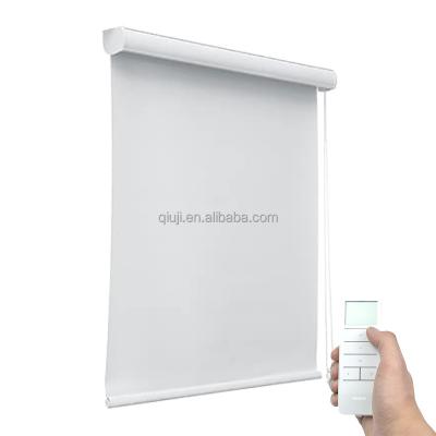 China Custom Minimalist Electric Roller Blind Roller Shade Window Blinds For Google Alexa Home Connect Smart Blind Wifi Compatible for sale