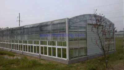 China Agricultural Greenhouse Polycarbonate Hollow pc Sheet 10 years Guarantee for sale