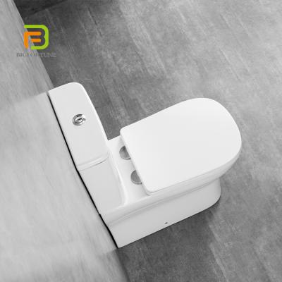 China Double-Flow China Sanitary Ware Floor Washdown Ceramic Two Piece Toilet Bowl for sale