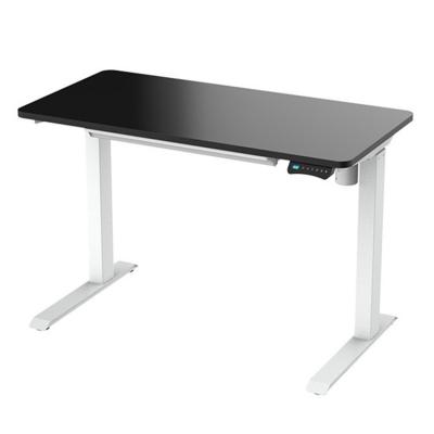 China Adjustable Custom 48(height)inches 2 Legs Height Adjustable Motor Dual Height Office Desk for sale