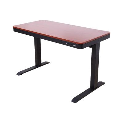 China High Quality Height Adjustable Desk (Height) Adjustable Factory New Custom Design With 2USB Interface for sale