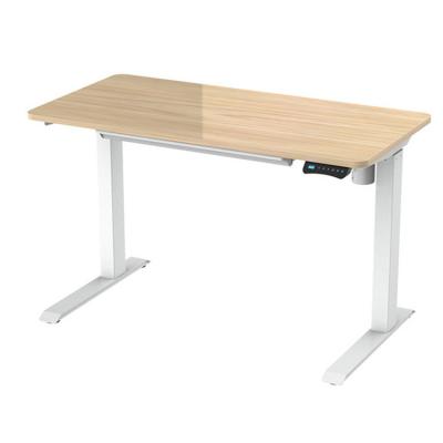 China (Height) OEM Height Adjustable Technology Professional Custom Popular Table Standing Electric Height Adjustable Desk Without Drawer Wholesale for sale