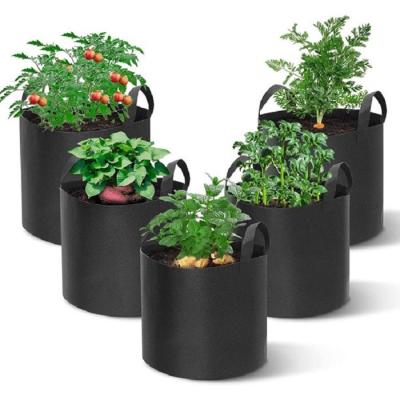 China Non Woven Plant Growth Fabric Grow Pots 5 Bag 35 Pack 7 10 Gallon 300G Fabric Weight Felt Plant Garden Pots For Growing Bags for sale