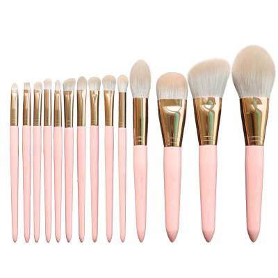 China Angular Blush 14pcs High Quality PBT Cosmetic Brushes with Cosmetic Bag for Beauty Tool Kit for sale