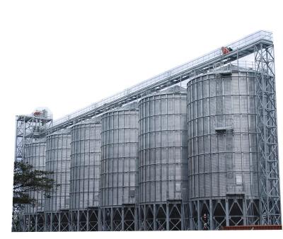 China Factory Steel Grain Storage Silo System Selling On Competitive Price for sale