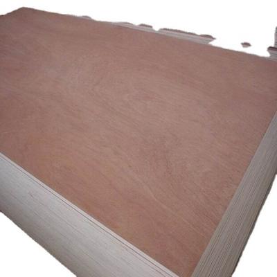 China Contemporary Cheap price plywood sheet 4x8, bintangor plywood, bintangor face plywood bintangor commercial plywood for sale