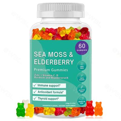 China Natural Vegan Seamoss Gummies Candy for sale