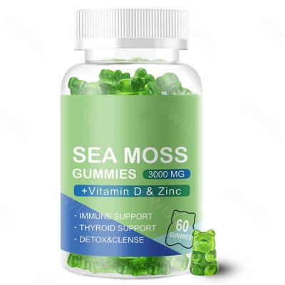 China Natural Private Label Seamoss Freeze Candy Vegan Gummy Sugar Free for sale