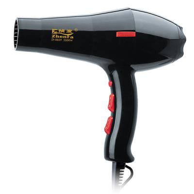 China AC Motor Professional High Quality Professional Hair Dryer for sale