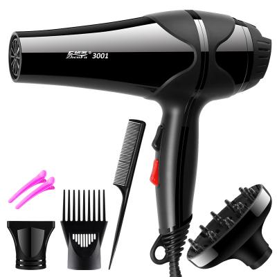 China High Power Ionic High Speed ​​BLOWER Professional Salon OEM/ODM Hair Dryer for sale