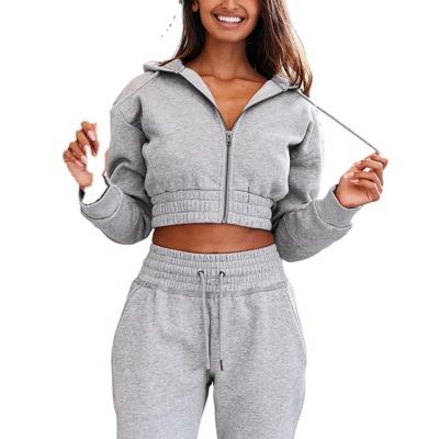 China Custom Top Wholesale Women's Cropped Hoodie Casual Anti-Wrinkle Crop Sweatshirts Gym Workout for sale