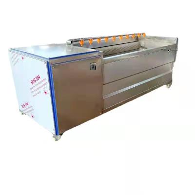 China Other High Quality 2120mm * 840mm * 900mm Potato Cleaning And Peeling Machine for sale