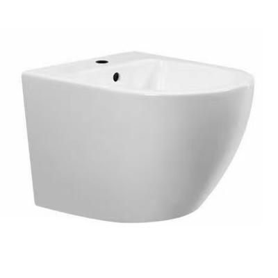 China Hidden Cistern D Shape Bathroom Wall Hung Ceramic Toilet And Bidet for sale