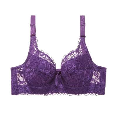 China Low MOQ workable multicolor high quality daily used purple lace lady bra hot sexy lingeries lace up women bra for sale