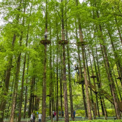 China Forest Adventure Treetop Trekking Rope Wooden Aerial Course for sale