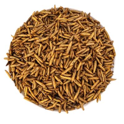 China Factory Direct Human Livestock Viable Dried Black Soldier Fly Larvae Pet Food Great for Wild Birds, Sugar Gliders, Fish, Reptiles for sale