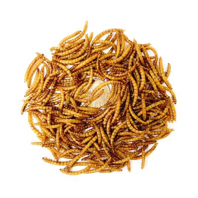 China Wholesale Chinese Factory Made Small Viable Animal Feed Dried Mealworms Larvae Poultry Feed for sale