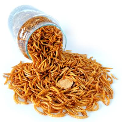 China Viable good quality mealworms dried mealworm for export broiler snack chicken food and canary food for sale