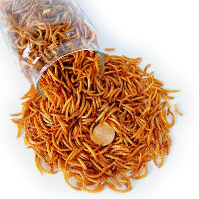 China Viable original factory directly supply farm breeding organic mealworm for export dry mealworm hamster snack pet treats pet food for sale