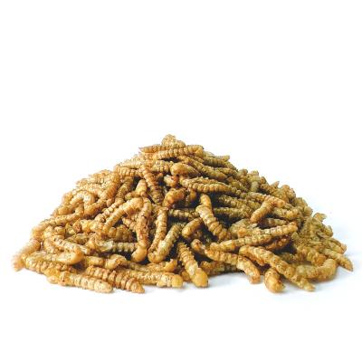 China Viable Small Pets Dry Mealworm Hamster Snack Tortoise Food Bird Food Dried Mealworm Pupa for sale