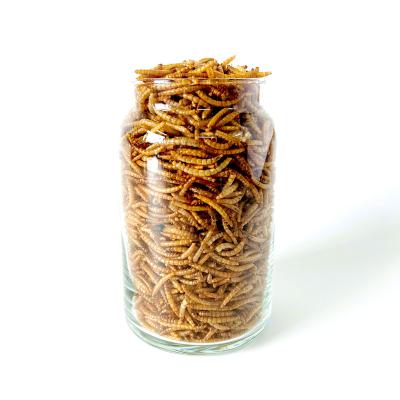 China High Quality Viable Protein Animal Feed Dried Mealworm Food For Canary Food For Magpie Bird Food for sale