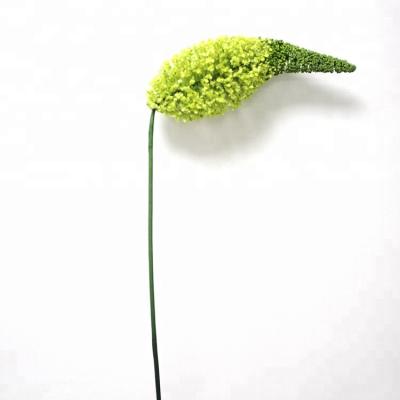 China High Quality Artificial Flower China Factory Long Fake Eremurus Flower Artificial Flower Stem for sale