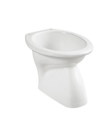 China Modern Sanitary Ware Ceramic Double Flush Strap Toilet For Bathroom for sale