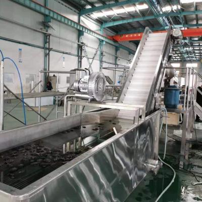 China pulping avocado making washing pulping machine, avocado mango pitter destoner, avocado tomato concentrate juice processing line for sale