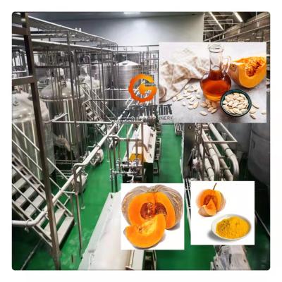 China Fresh Pumpkin Seed Oil Production Process Line Pumpkin Pumpkin Seed Oil Production Line for sale