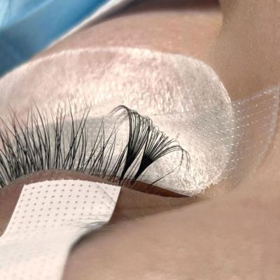 China Premium Private Label Silk Lashes Soft Natural Mink Lashes Extension Eyelashes Vendor Lash Trays Long Mink Eyelash for sale