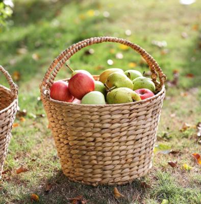 China Wholesale Eco-friendly Woven Water Hyacinth Fruit Baskets With Handles for sale