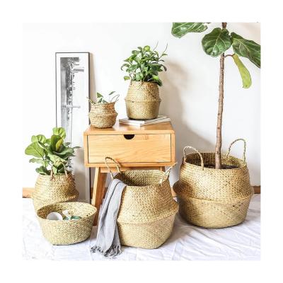 China CLASSIC Hot Sales Canasta Wicker Rack Woven Rattan Vegetable Plankton Belly Folding Storage Basket for sale