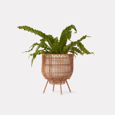 China Eco-Freindly Huangtu Natural Rattan Planter Basket&plant&flower Pots With Stand Wholesale for sale